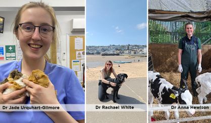 Finalists revealed for Young Vet of the Year 2026